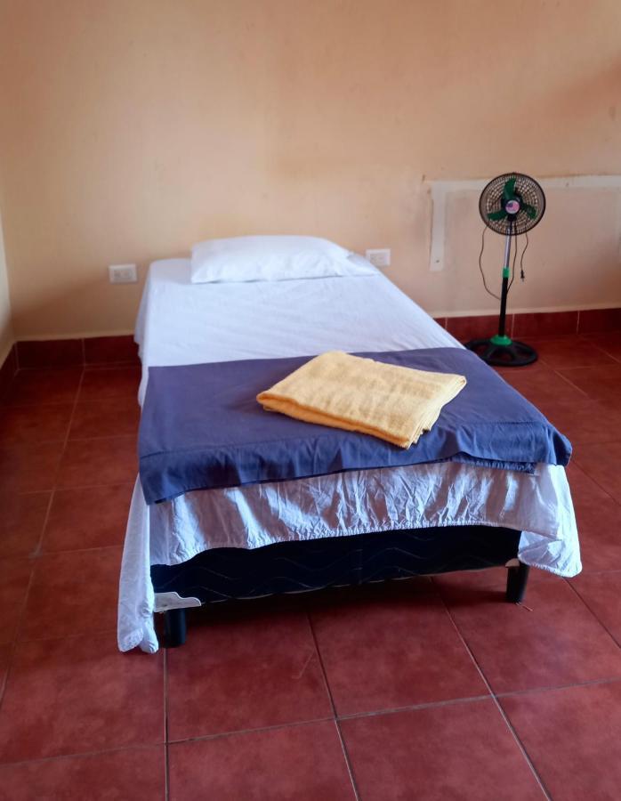 Hostal Don Gato Granada Kültér fotó