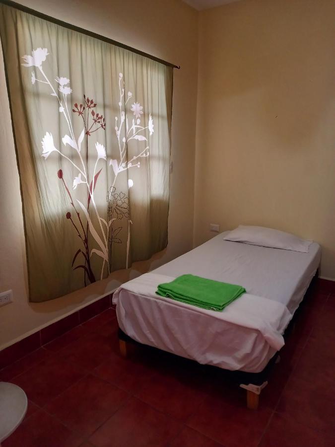 Hostal Don Gato Granada Kültér fotó